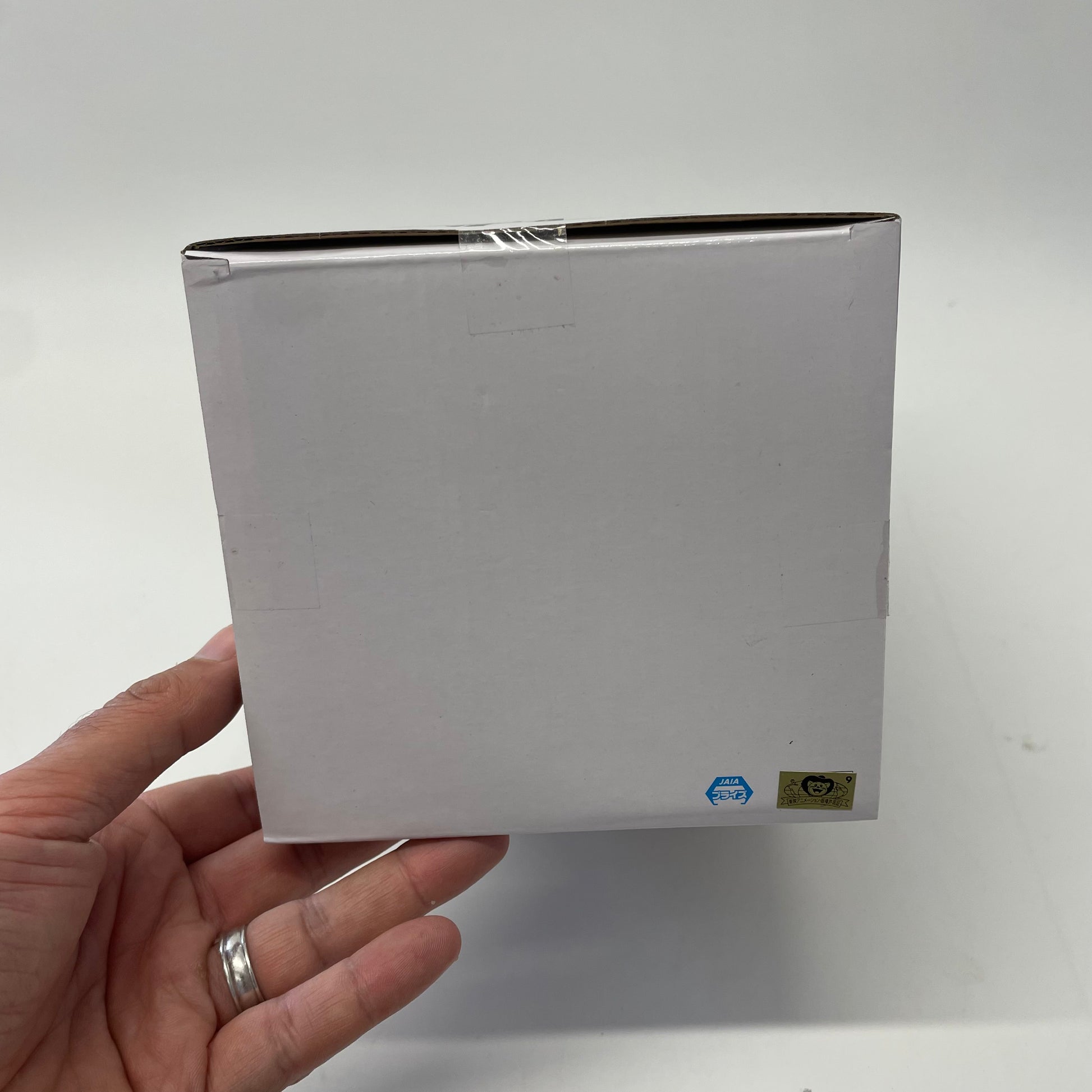 Hand holding a white rectangular box with logos on a white background