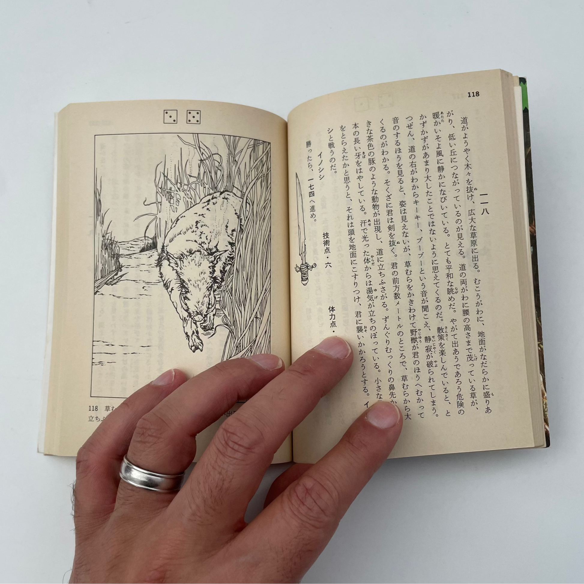 Forest of Doom Fighting Fantasy Gamebook 3 (Japanese)