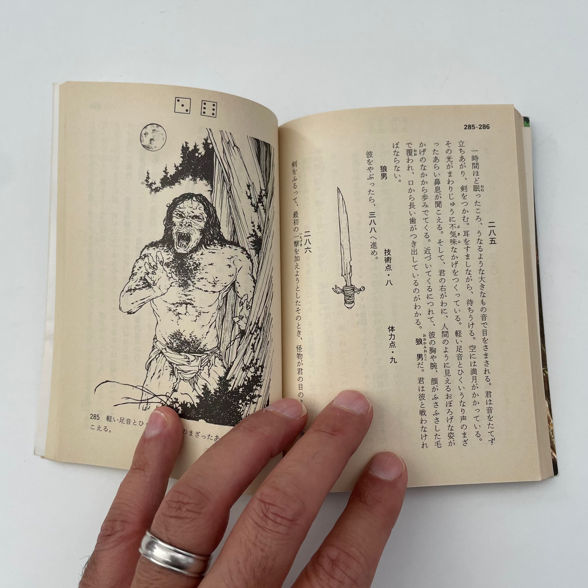 Forest of Doom Fighting Fantasy Gamebook 3 (Japanese)