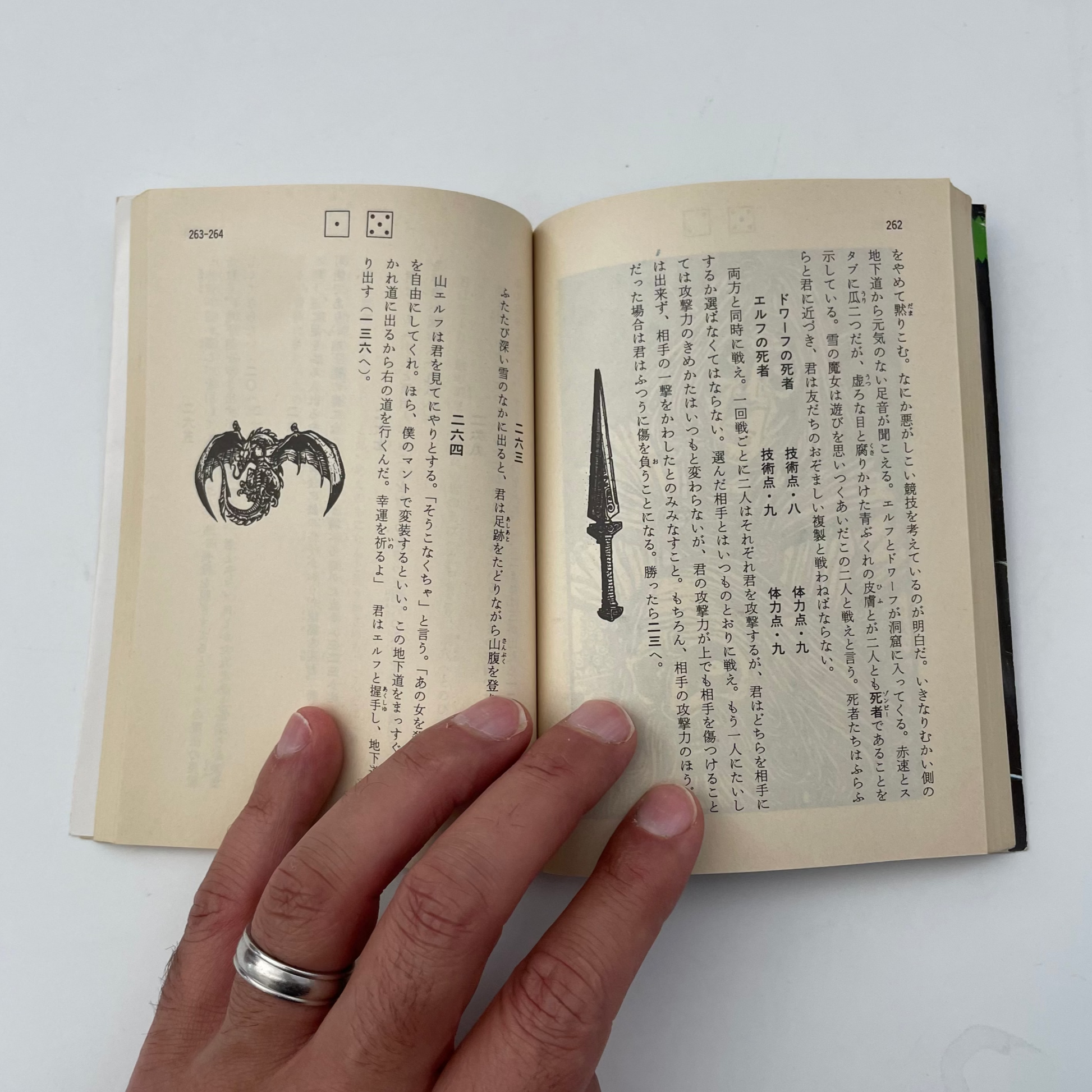 Caverns of the Snow Witch Fighting Fantasy Gamebook 9 (Japanese)
