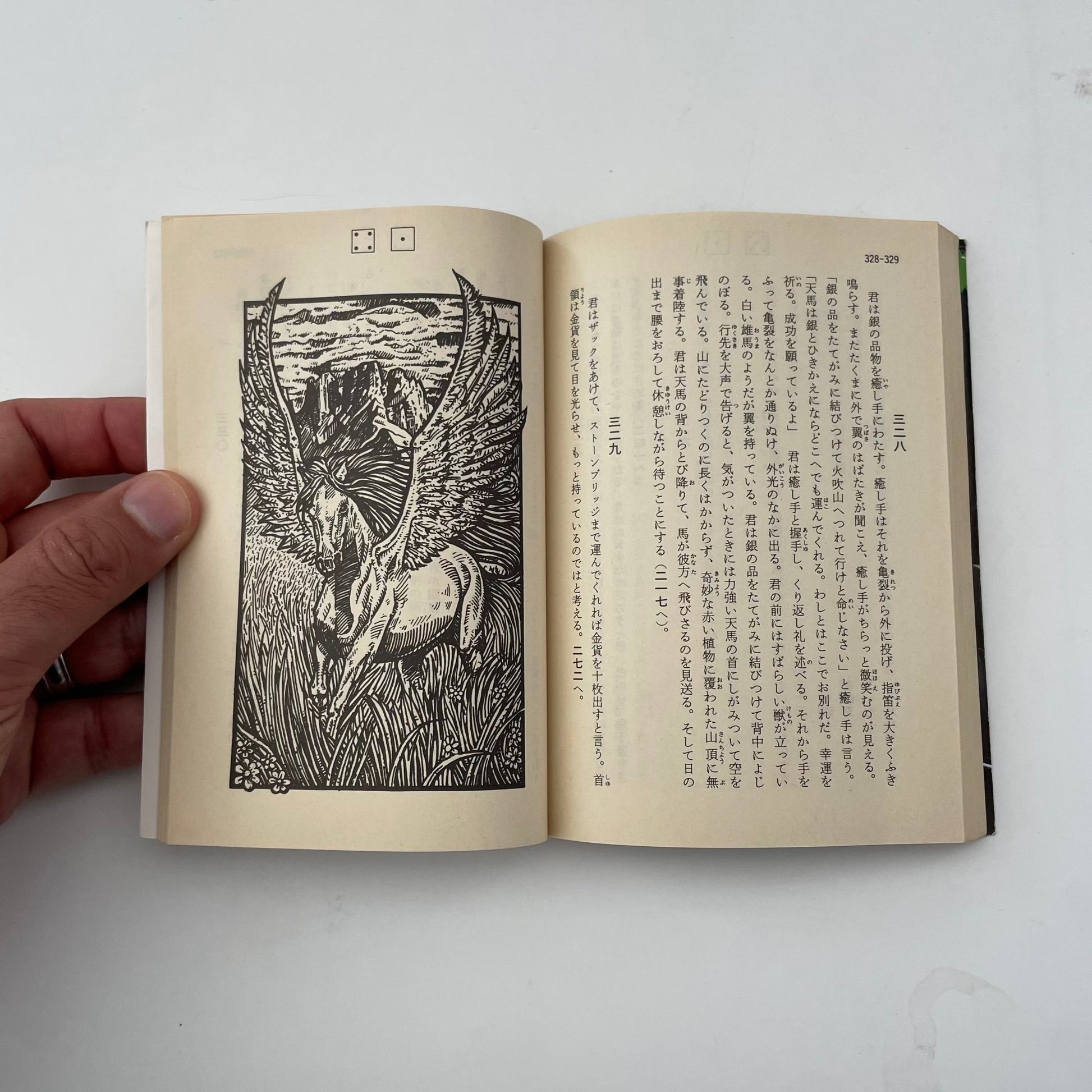 Caverns of the Snow Witch Fighting Fantasy Gamebook 9 (Japanese)