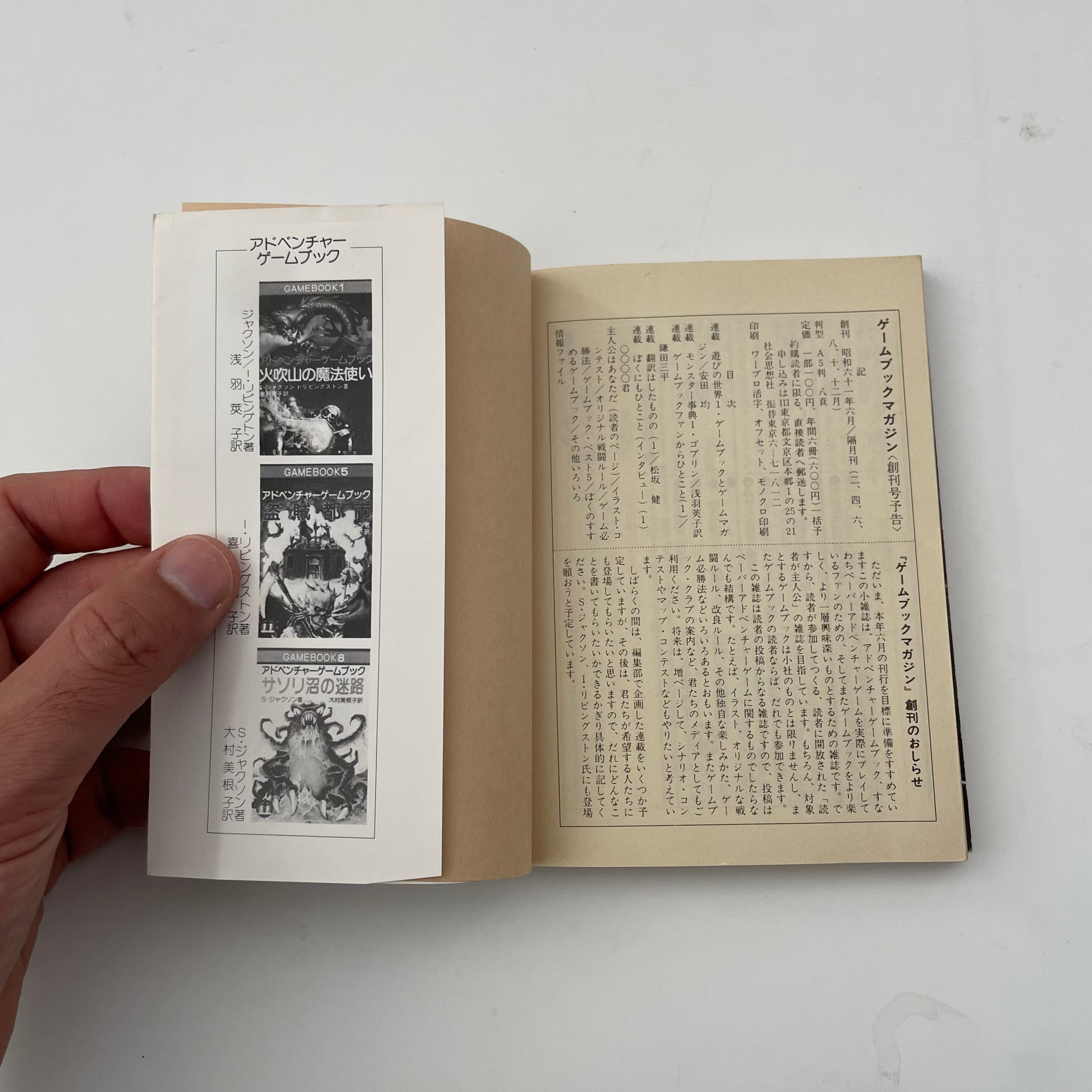 Caverns of the Snow Witch Fighting Fantasy Gamebook 9 (Japanese)