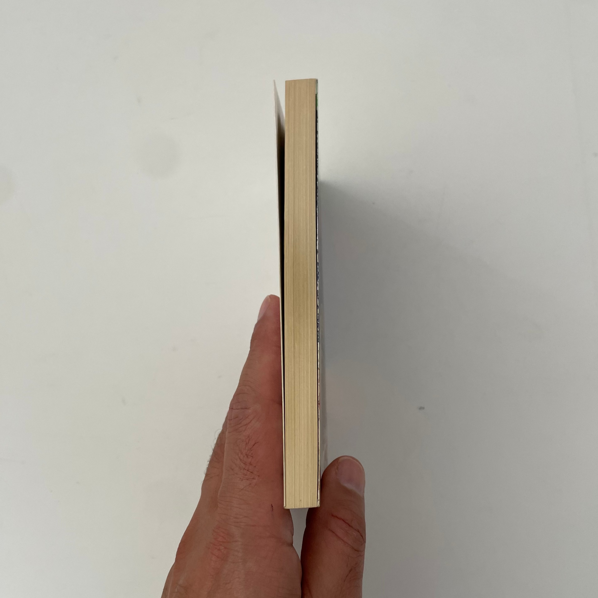 Hand holding a thin, rectangular wooden object against a plain background
