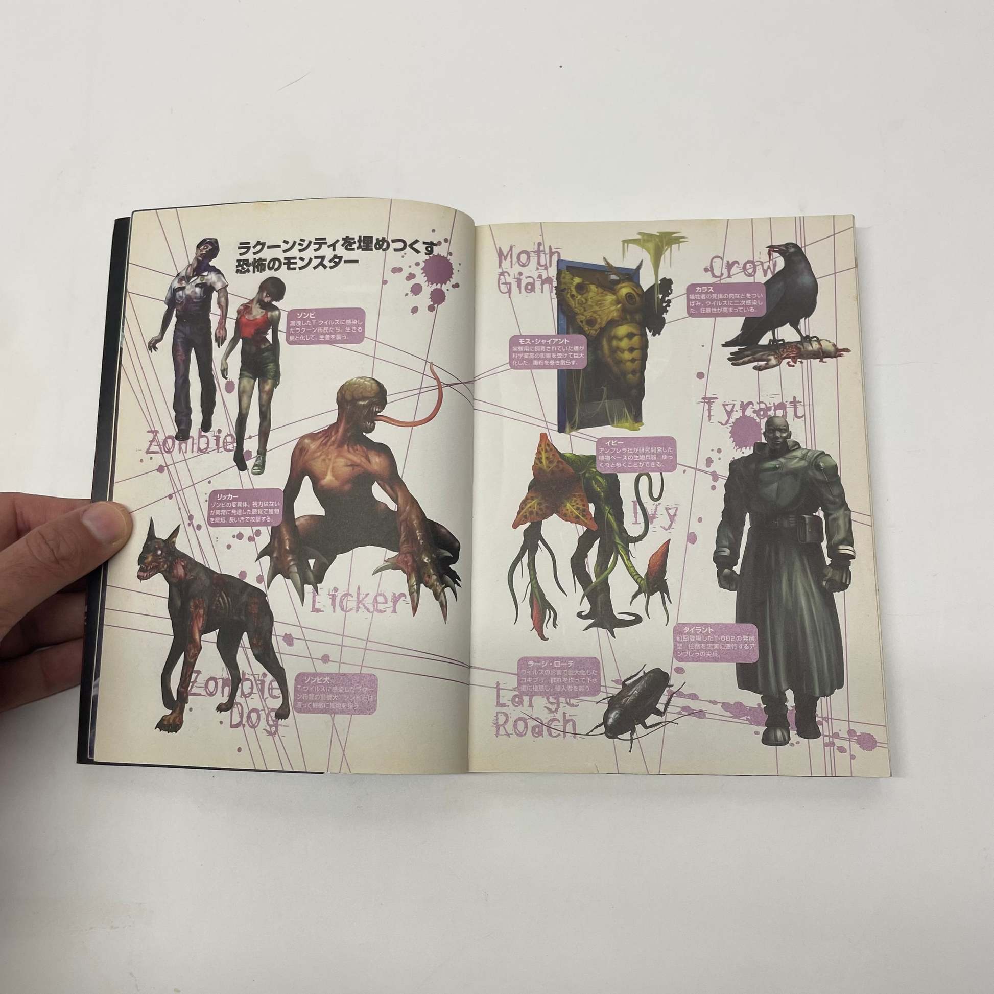 Open book showing illustrations of various creatures with labels on a white background