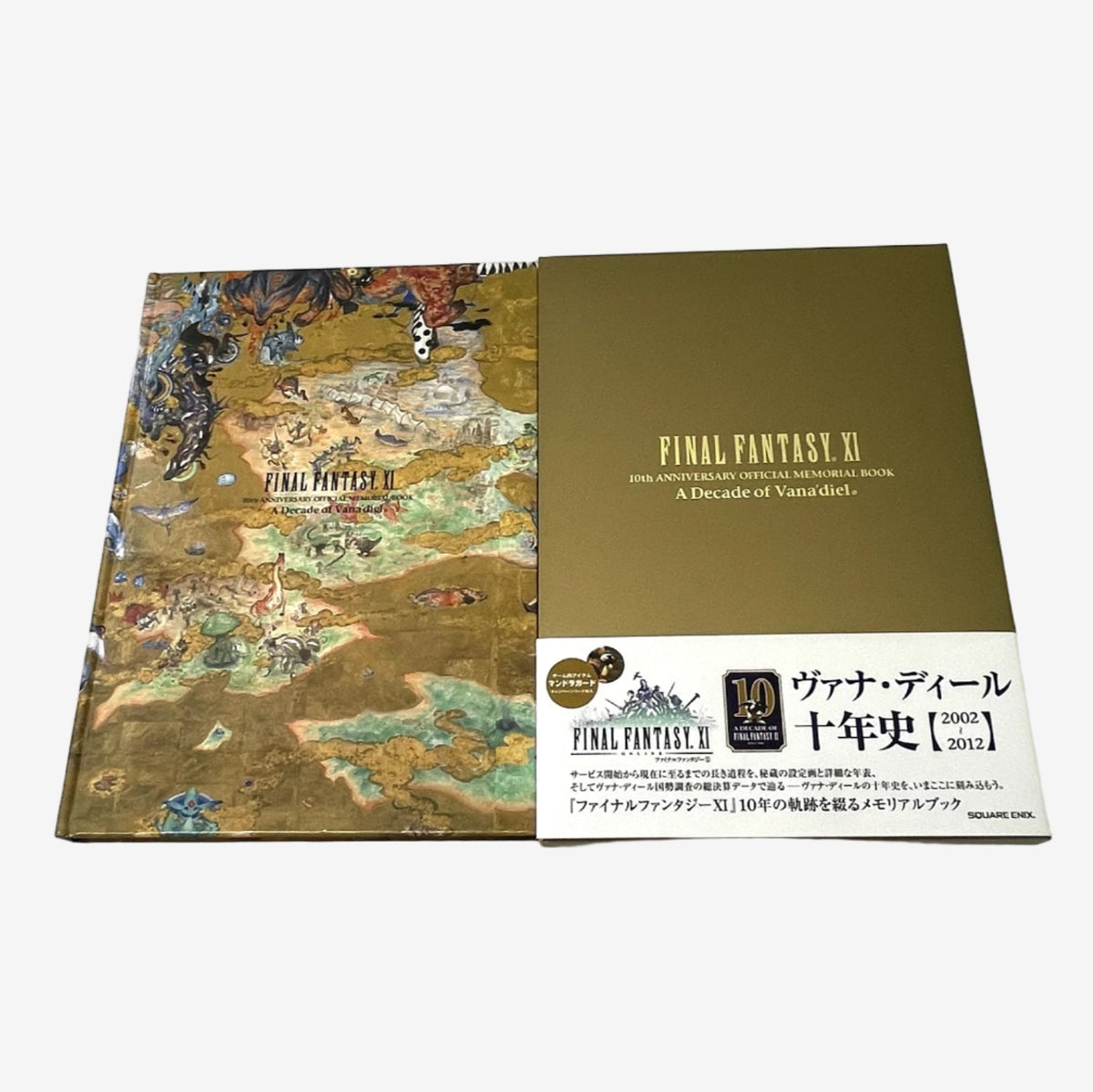 Two books on a white background, one with a map design and the other with 'Final Fantasy XI' branding.