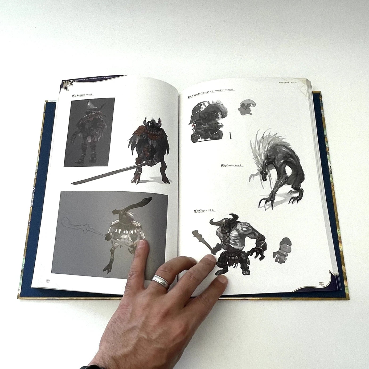 Final Fantasy XI Memorial Art Book - 10th Anniversary Vana'diel (Japanese)